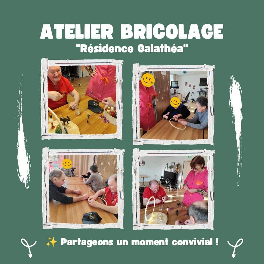 bricolage galathéa